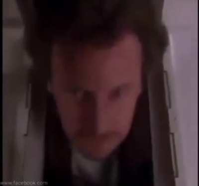 XD