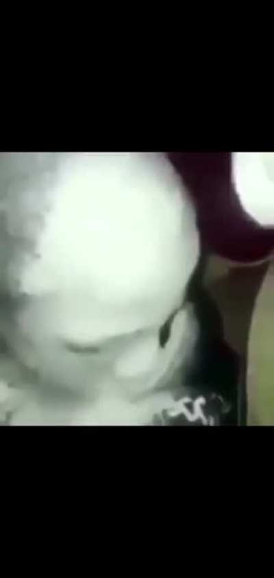 Don't say it.
