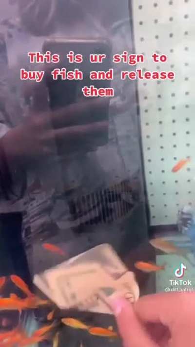 fish