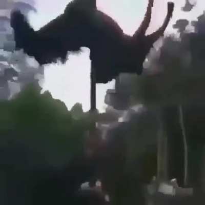 juan ?