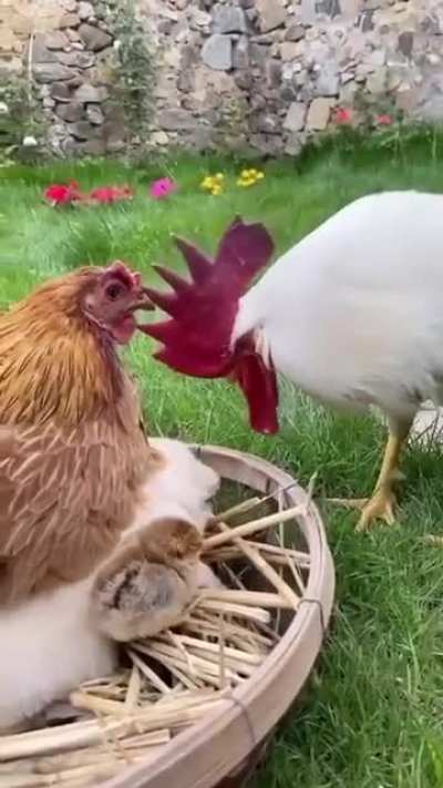 Is this my baby?!