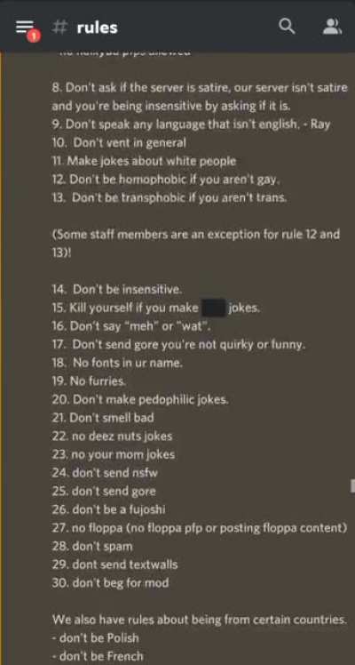 The rules on this Dreamsexual discord server.