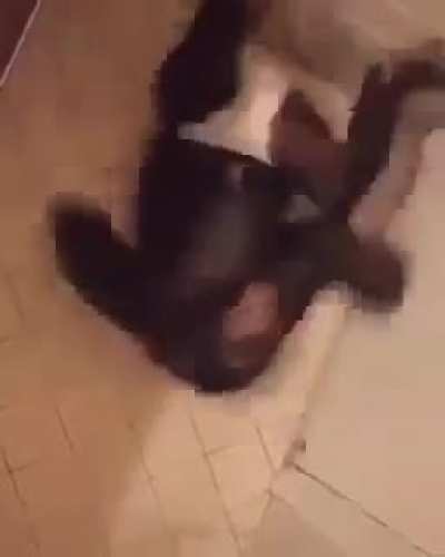 Mordoxianos no reddit