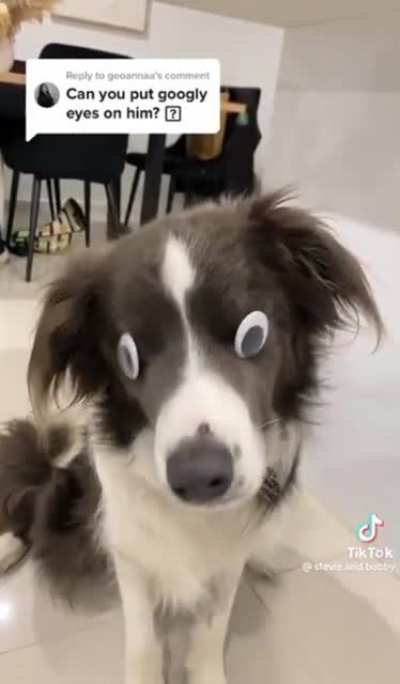 Maybe Maybe Maybe