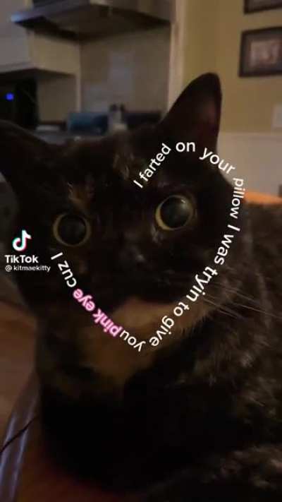 My dog does this too haven&rsquo;t gotten pink eye but I did need Febreze.
