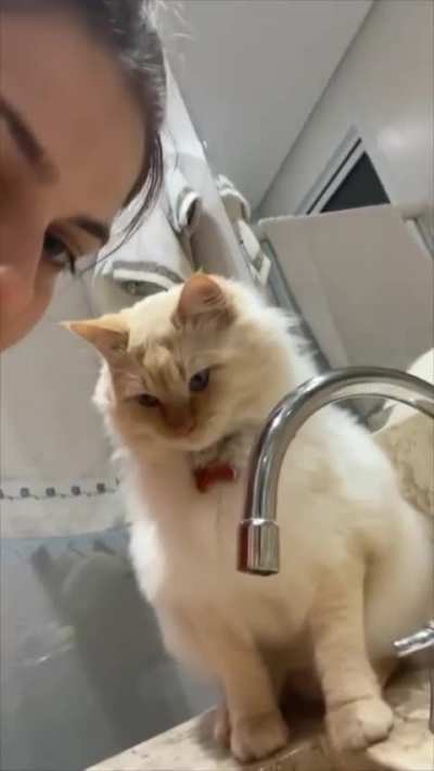 How human