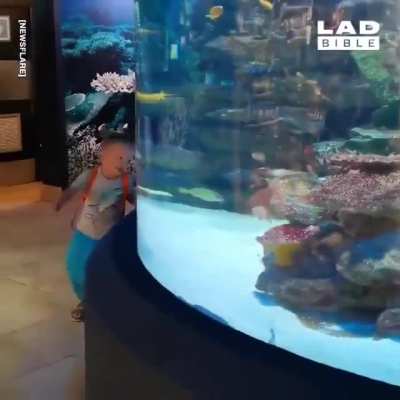 This little kid racing a fish around the tank
