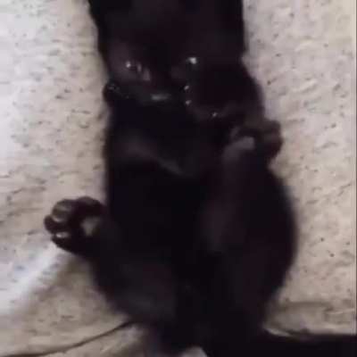 Kitty realising she has more than one paw.. 🐾
