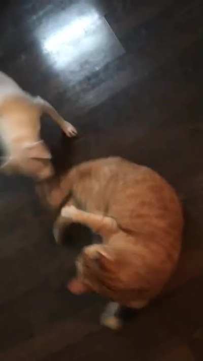 He got what he deserved