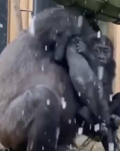 Немного милоты