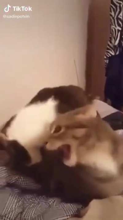 There's so much panic in this video