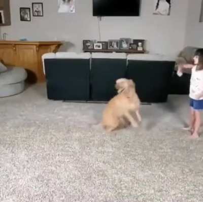 Impressive tandem between this kid and dog.
