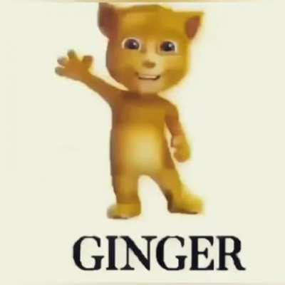 Ginger