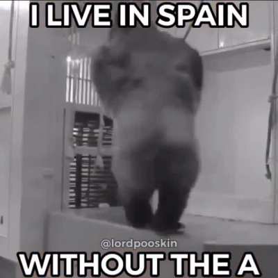 s&aacute;quenme de Espa&ntilde;a
