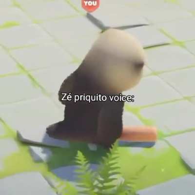 z&eacute; periquito voz: