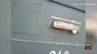 Pet won&rsquo;t let the mailman do his mailing