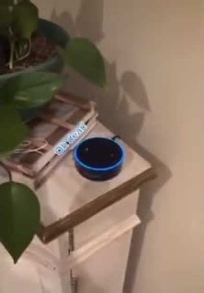 What is Alexa&rsquo;s darkest secret?