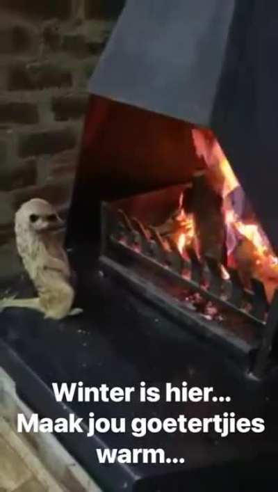Winter is here...