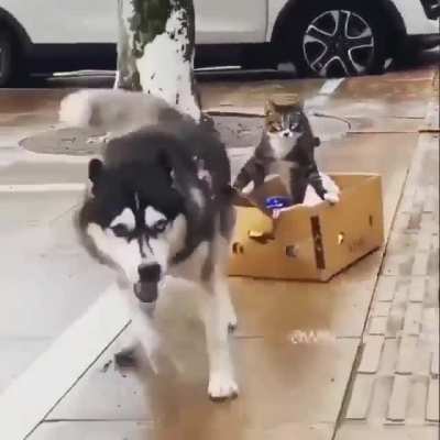 Don&rsquo;t worry bro! You will arrive at the meeting on time!