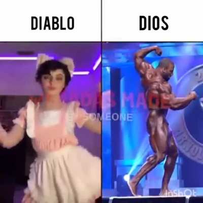 Viva cristo rey