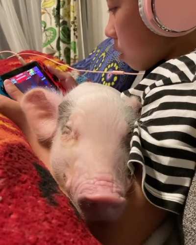 Sleeping peacefully