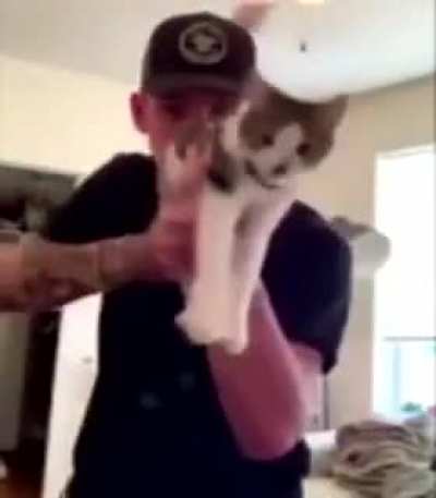 Meow fiction
