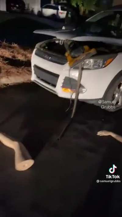 Just a little fender bender🧐?