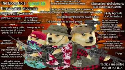 Boog bois