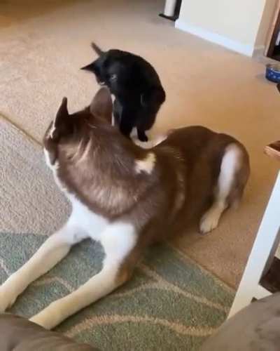 To sneak attack