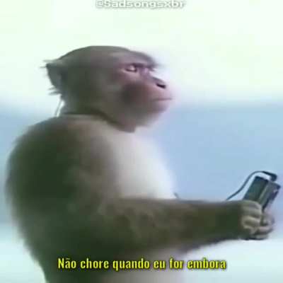 Sem baderna o adm estar carente 😔👌