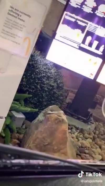 The McDonald&rsquo;s workers do NOT get paid enough for this haha.