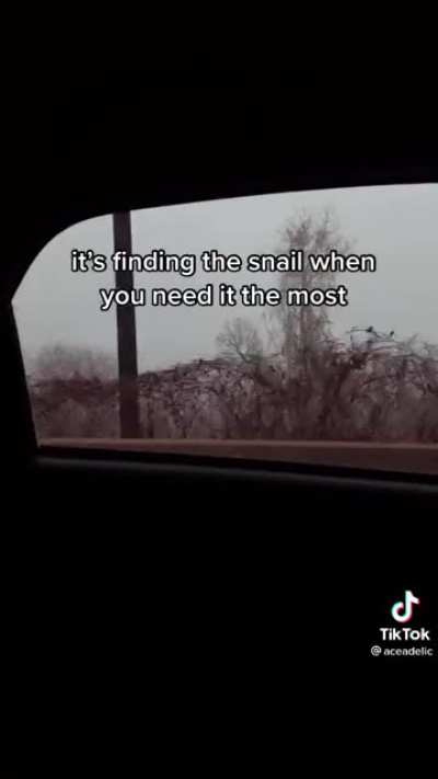 Snail rule
