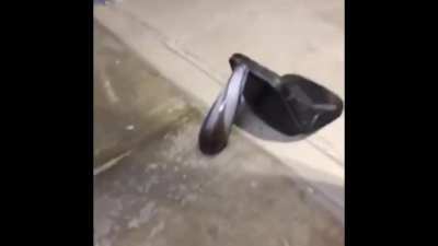AAAAH-