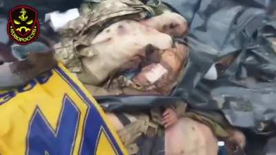 На самом деле подобных видео много, в том числе в районе Изюма. Повторюсь ещё раз. ВСУ воюют грамотно, по крайней мере отдельные подразделения, но потери у них катастрофические, особенно после ударов ОТКР.