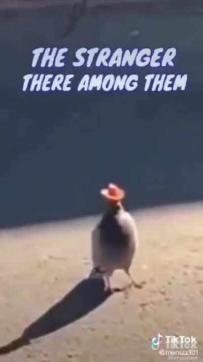 Walking through Valentine as dishonourable Arthur be like