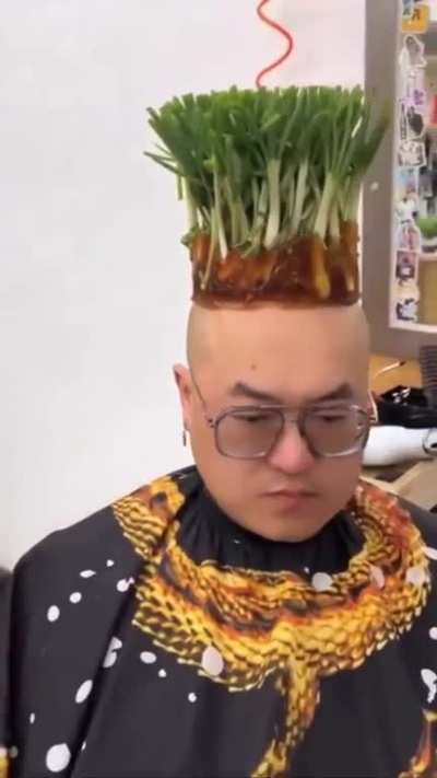 😐🌴🌴