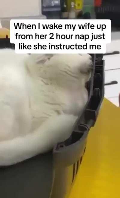 lol