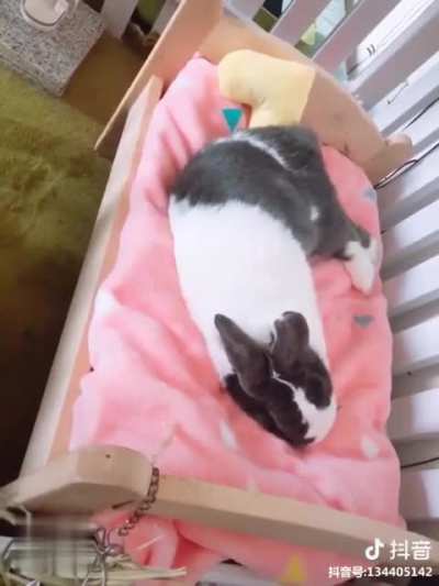 &ldquo;Gotta make my bed all comfy&rdquo;