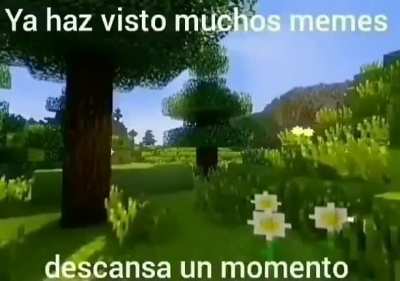 Descansa