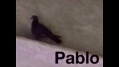 Pablo