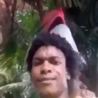BONK