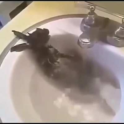 -w-