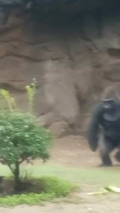 to keep up