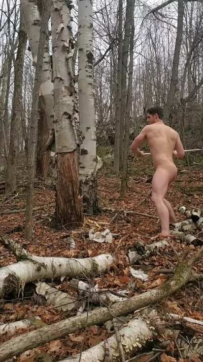 Shiver me timber