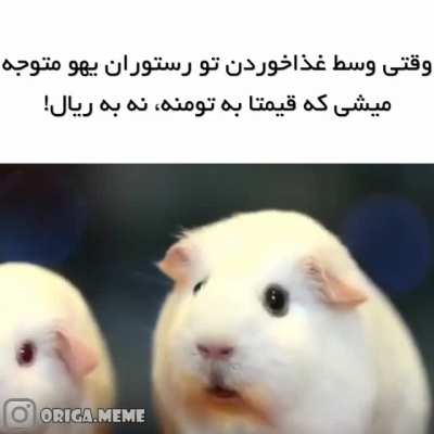 😂😂😂😂😂