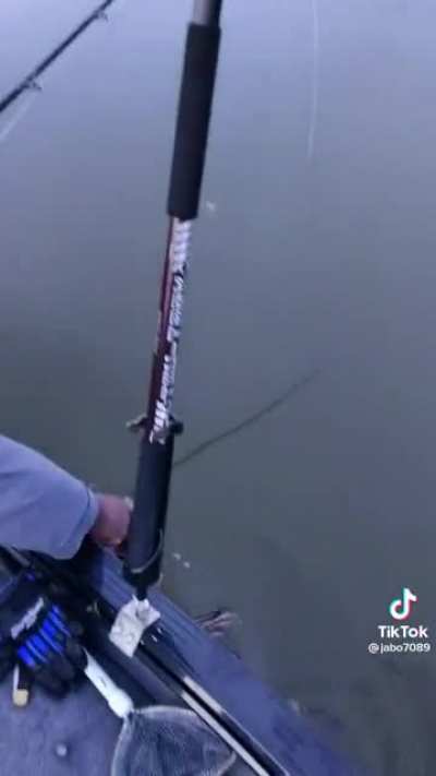 That&rsquo;s not how catch and release works