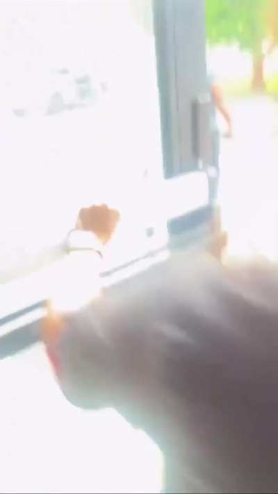 DoorDash driver assaults employees because they were busy and didn&rsquo;t have his order ready yet