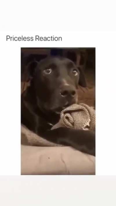 It wasn&rsquo;t me I swear