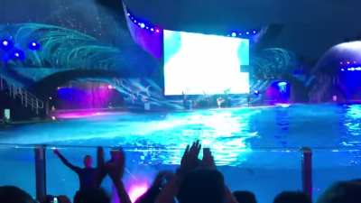 Favorite video I&rsquo;ve ever taken from SeaWorld