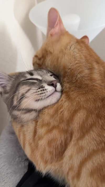 when little bro is hitting that spot